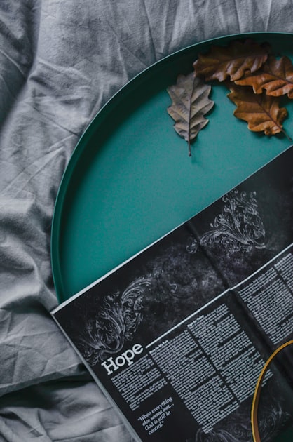 Finding Calm in Chaos